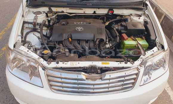 কেনা ব্যবহৃত Toyota X corolla White গাড়ী মধ্যে ঢাকা মধ্যে Dhaka কেনা ব্যবহৃত Toyota X corolla White গাড়ী মধ্যে ঢাকা মধ্যে Dhaka