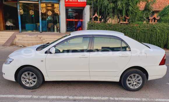 কেনা ব্যবহৃত Toyota X corolla White গাড়ী মধ্যে ঢাকা মধ্যে Dhaka কেনা ব্যবহৃত Toyota X corolla White গাড়ী মধ্যে ঢাকা মধ্যে Dhaka