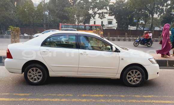 কেনা ব্যবহৃত Toyota X corolla White গাড়ী মধ্যে ঢাকা মধ্যে Dhaka কেনা ব্যবহৃত Toyota X corolla White গাড়ী মধ্যে ঢাকা মধ্যে Dhaka