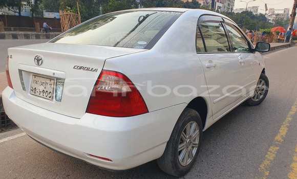 কেনা ব্যবহৃত Toyota X corolla White গাড়ী মধ্যে ঢাকা মধ্যে Dhaka কেনা ব্যবহৃত Toyota X corolla White গাড়ী মধ্যে ঢাকা মধ্যে Dhaka