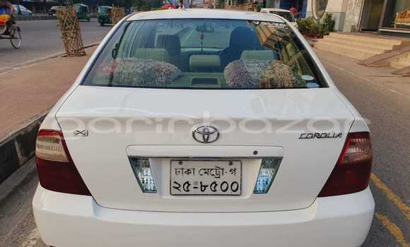 কেনা ব্যবহৃত Toyota X corolla White গাড়ী মধ্যে ঢাকা মধ্যে Dhaka কেনা ব্যবহৃত Toyota X corolla White গাড়ী মধ্যে ঢাকা মধ্যে Dhaka
