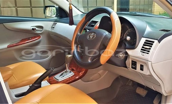 কেনা ব্যবহৃত Toyota Axio Other গাড়ী মধ্যে বান্দরবান মধ্যে Bandarban কেনা ব্যবহৃত Toyota Axio Other গাড়ী মধ্যে বান্দরবান মধ্যে Bandarban