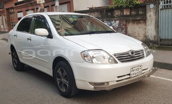 কেনা ব্যবহৃত Toyota Corolla White গাড়ী মধ্যে বাজিতপুর মধ্যে Kishorganj কেনা ব্যবহৃত Toyota Corolla White গাড়ী মধ্যে বাজিতপুর মধ্যে Kishorganj