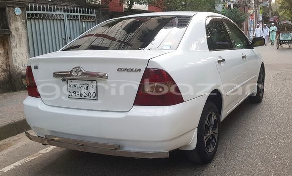 কেনা ব্যবহৃত Toyota Corolla White গাড়ী মধ্যে বাজিতপুর মধ্যে Kishorganj কেনা ব্যবহৃত Toyota Corolla White গাড়ী মধ্যে বাজিতপুর মধ্যে Kishorganj