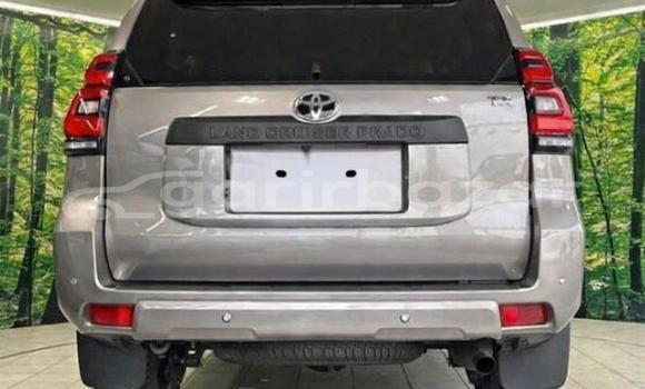 কিনুন ব্যবহৃত Toyota গাড়ী কিনুন ব্যবহৃত Toyota গাড়ী