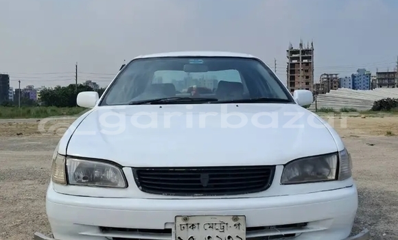 কেনা ব্যবহৃত Toyota 110 White গাড়ী মধ্যে বান্দরবান মধ্যে Bandarban কেনা ব্যবহৃত Toyota 110 White গাড়ী মধ্যে বান্দরবান মধ্যে Bandarban