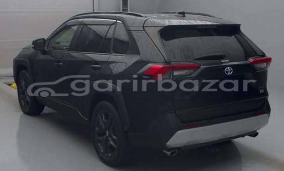 কেনা ব্যবহৃত Toyota Rav4 Others গাড়ী মধ্যে ঢাকা মধ্যে Dhaka কেনা ব্যবহৃত Toyota Rav4 Others গাড়ী মধ্যে ঢাকা মধ্যে Dhaka