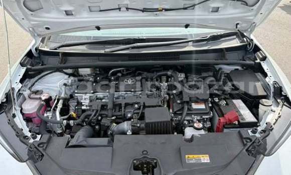 Buy Used 2023 Toyota Prius in Dhaka, Dhaka Buy Used 2023 Toyota Prius in Dhaka, Dhaka