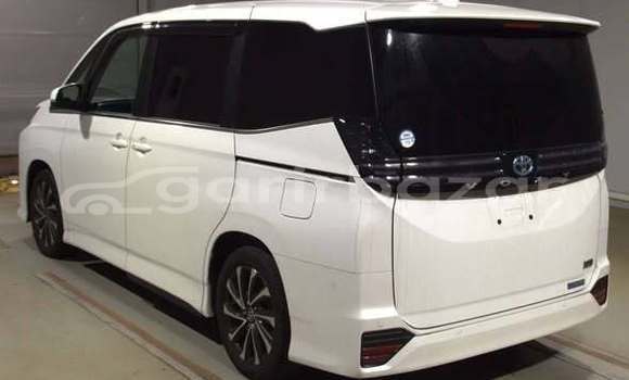 Buy Used 2022 Subaru 360 in Dhaka, Dhaka