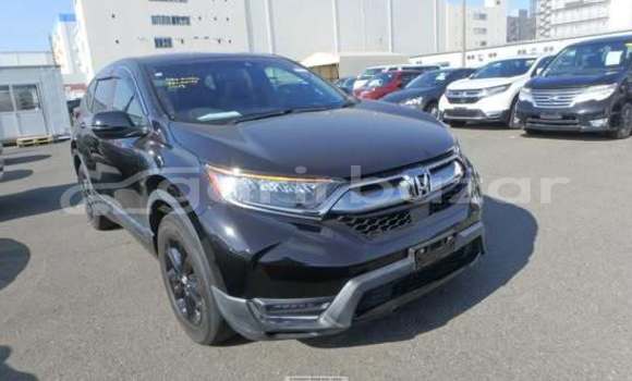 Buy Used Honda Car