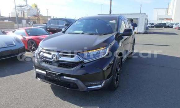 Buy Used Honda Car Buy Used Honda Car