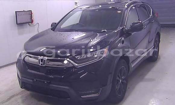 Buy Used Honda Car Buy Used Honda Car
