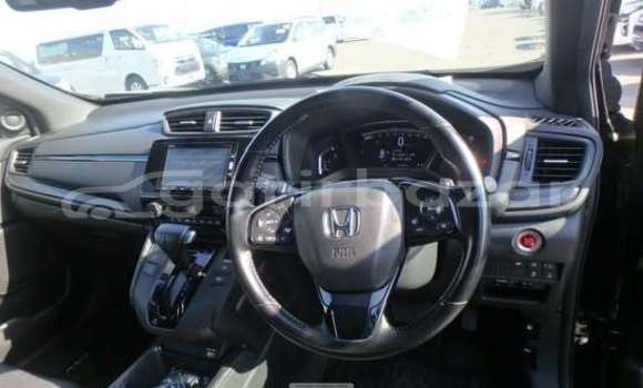 Buy Used Honda Car Buy Used Honda Car
