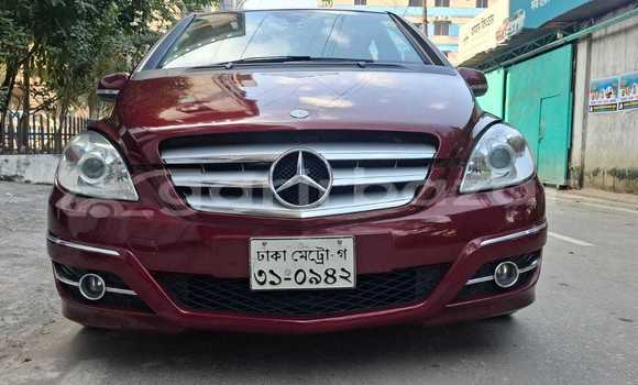 Buy Used Mercedes-Benz Car Buy Used Mercedes-Benz Car