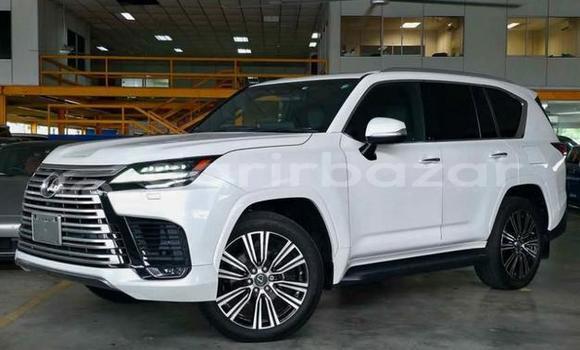 Buy Used Lexus Car