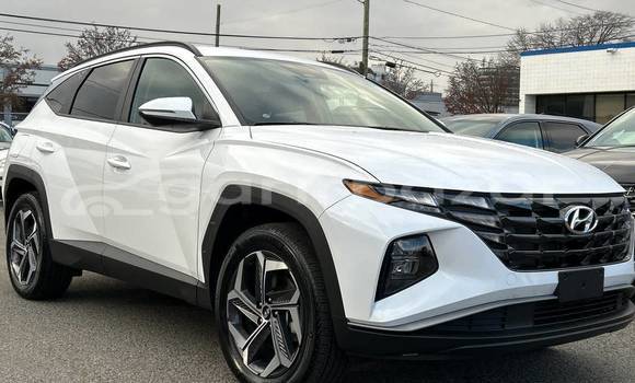 Buy Used Hyundai Car