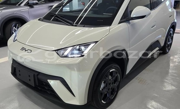 Buy Used BYD Car