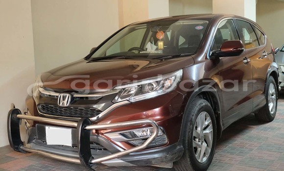 Buy Used Honda Car