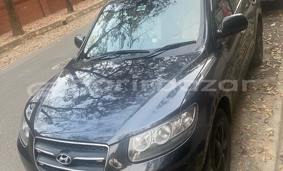 কিনুন ব্যবহৃত Hyundai গাড়ী