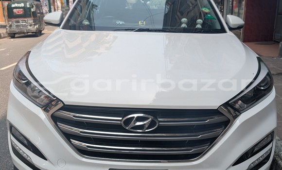 Buy Used Hyundai Car Buy Used Hyundai Car