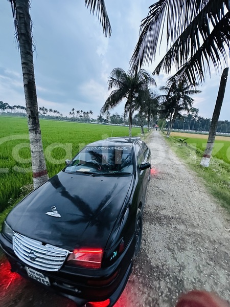 Big with watermark nissan sunny chuadanga chuadanga 84253
