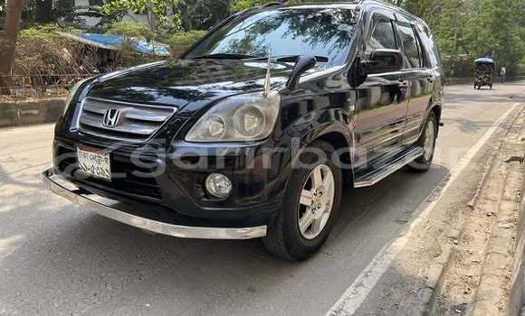 Buy Used Honda Car