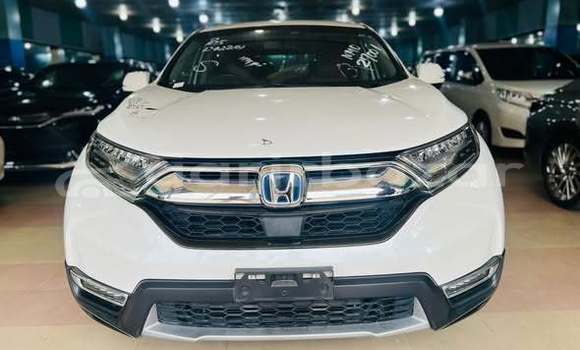 Buy Used Honda Car Buy Used Honda Car