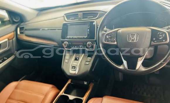 Buy Used Honda Car Buy Used Honda Car
