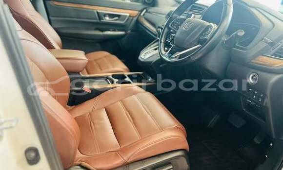 Buy Used Honda Car Buy Used Honda Car