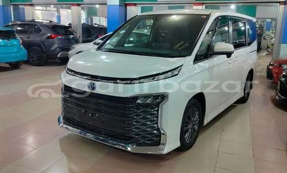 Buy Used Toyota Car