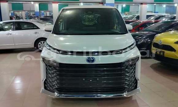 Buy Used Toyota Car Buy Used Toyota Car