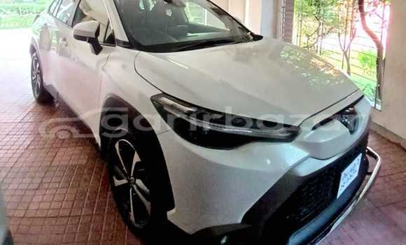 কিনুন ব্যবহৃত Toyota গাড়ী