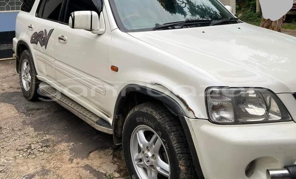 কেনা ব্যবহৃত Honda CR-V White গাড়ী মধ্যে বাগেরহাট মধ্যে Khulna কেনা ব্যবহৃত Honda CR-V White গাড়ী মধ্যে বাগেরহাট মধ্যে Khulna