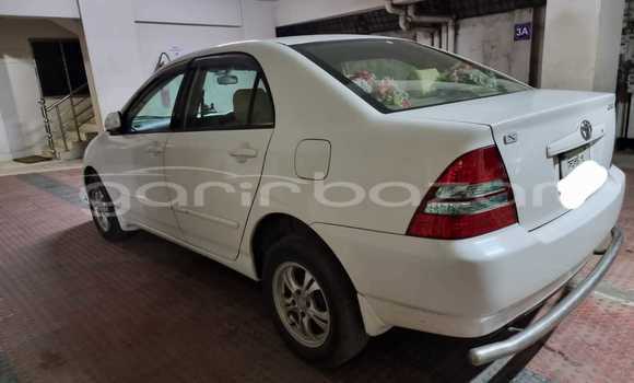 Buy Used 2003 Toyota X corolla in Dhaka, Dhaka Buy Used 2003 Toyota X corolla in Dhaka, Dhaka