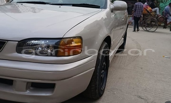 Buy Used 2019 Toyota Premio in Bajitpur, Kishorganj Buy Used 2019 Toyota Premio in Bajitpur, Kishorganj