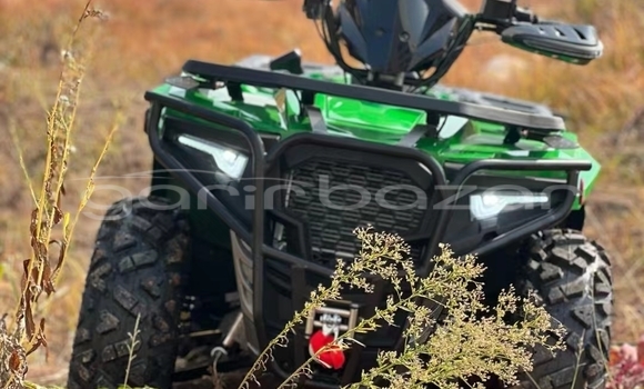 কেনা নতুন Alta Motors REDSHIFT MX Dark green সাইকেল মধ্যে ঢাকা মধ্যে Dhaka কেনা নতুন Alta Motors REDSHIFT MX Dark green সাইকেল মধ্যে ঢাকা মধ্যে Dhaka