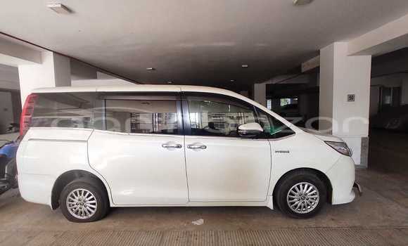কেনা ব্যবহৃত Toyota Noah Pearl গাড়ী মধ্যে ঢাকা মধ্যে Dhaka কেনা ব্যবহৃত Toyota Noah Pearl গাড়ী মধ্যে ঢাকা মধ্যে Dhaka