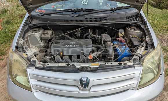 কেনা ব্যবহৃত Toyota IST Silver গাড়ী মধ্যে অভয়নগর মধ্যে Jessor কেনা ব্যবহৃত Toyota IST Silver গাড়ী মধ্যে অভয়নগর মধ্যে Jessor
