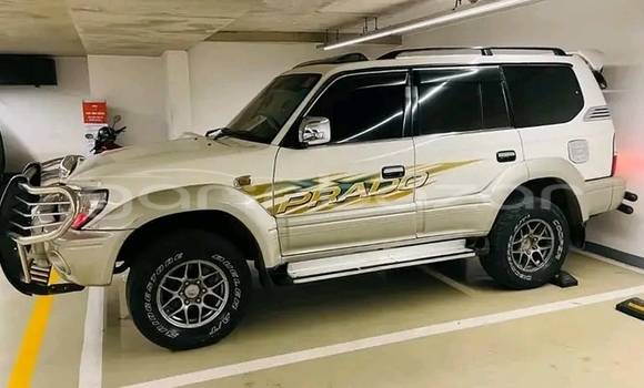 কেনা ব্যবহৃত Toyota Prado Other গাড়ী মধ্যে বাজিতপুর মধ্যে Kishorganj কেনা ব্যবহৃত Toyota Prado Other গাড়ী মধ্যে বাজিতপুর মধ্যে Kishorganj