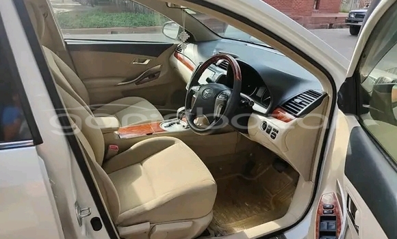 কেনা ব্যবহৃত Honda Avancier White গাড়ী মধ্যে বাজিতপুর মধ্যে Kishorganj কেনা ব্যবহৃত Honda Avancier White গাড়ী মধ্যে বাজিতপুর মধ্যে Kishorganj