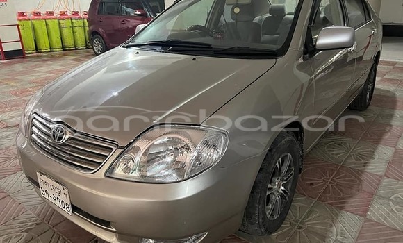 কেনা ব্যবহৃত Toyota Corolla Other গাড়ী মধ্যে বাজিতপুর মধ্যে Kishorganj কেনা ব্যবহৃত Toyota Corolla Other গাড়ী মধ্যে বাজিতপুর মধ্যে Kishorganj