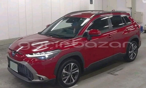 কেনা ব্যবহৃত Honda CR-V Red গাড়ী মধ্যে বাগেরহাট মধ্যে Khulna কেনা ব্যবহৃত Honda CR-V Red গাড়ী মধ্যে বাগেরহাট মধ্যে Khulna