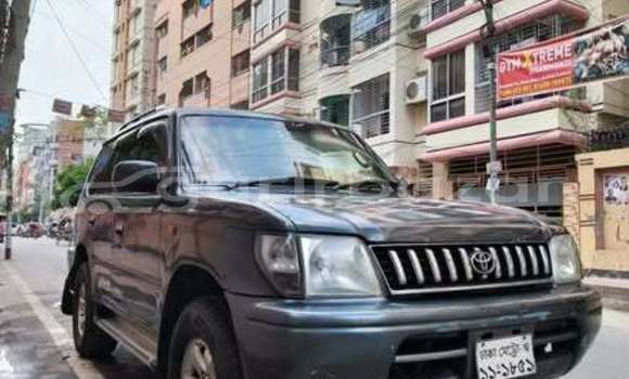 Buy Used Toyota Car Buy Used Toyota Car