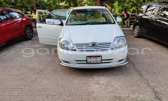 কেনা ব্যবহৃত Toyota Corolla White গাড়ী মধ্যে ঢাকা মধ্যে Dhaka কেনা ব্যবহৃত Toyota Corolla White গাড়ী মধ্যে ঢাকা মধ্যে Dhaka