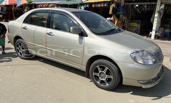 কেনা ব্যবহৃত Toyota Corolla Beige গাড়ী মধ্যে ঢাকা মধ্যে Dhaka কেনা ব্যবহৃত Toyota Corolla Beige গাড়ী মধ্যে ঢাকা মধ্যে Dhaka