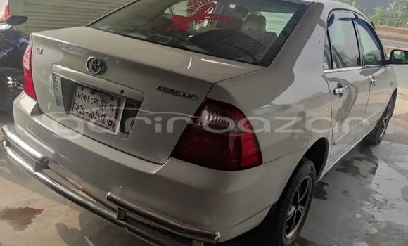 কেনা ব্যবহৃত Toyota Corolla White গাড়ী মধ্যে ঢাকা মধ্যে Dhaka কেনা ব্যবহৃত Toyota Corolla White গাড়ী মধ্যে ঢাকা মধ্যে Dhaka