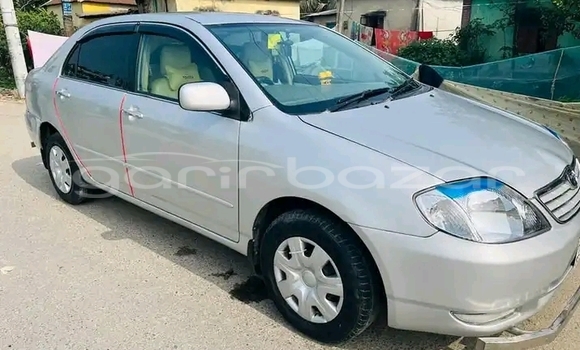 কেনা ব্যবহৃত Toyota Corolla Silver গাড়ী মধ্যে ঢাকা মধ্যে Dhaka কেনা ব্যবহৃত Toyota Corolla Silver গাড়ী মধ্যে ঢাকা মধ্যে Dhaka