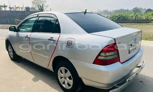 কেনা ব্যবহৃত Toyota Corolla Silver গাড়ী মধ্যে ঢাকা মধ্যে Dhaka কেনা ব্যবহৃত Toyota Corolla Silver গাড়ী মধ্যে ঢাকা মধ্যে Dhaka