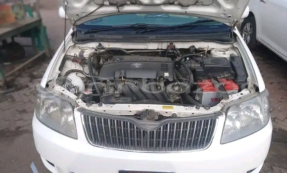 কেনা ব্যবহৃত Toyota Corolla White গাড়ী মধ্যে ঢাকা মধ্যে Dhaka কেনা ব্যবহৃত Toyota Corolla White গাড়ী মধ্যে ঢাকা মধ্যে Dhaka