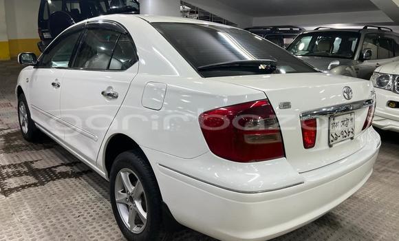 কেনা ব্যবহৃত Toyota Premio White গাড়ী মধ্যে ঢাকা মধ্যে Dhaka কেনা ব্যবহৃত Toyota Premio White গাড়ী মধ্যে ঢাকা মধ্যে Dhaka